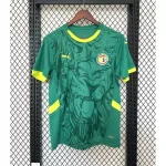 Senegal Soccer Jersey Away Custom Shirt 2025
