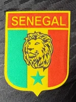 Senegal Authentic Soccer Jersey Retro Style Shirt World Cup 2026 - Image 5