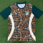 Côte d'Ivoire Soccer Jersey Training Custom Shirt 2025